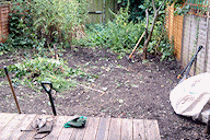 Removing weeds from the garden