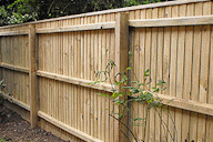 Wooden fencing