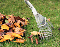 Raking leaves