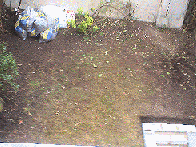 Landscape gardening - before picture