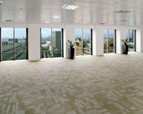 Carpet in an office