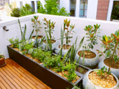 Roof Garden terrace