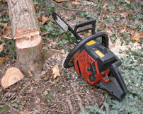 A chainsaw and tree